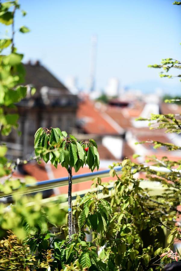 Zagreb Rooftops Ngoại thất bức ảnh
